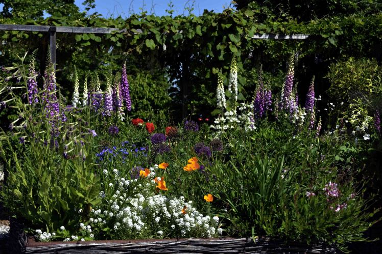 Giardino di Palazzo di Varignana_3 Archivio Grandi Giardini Italiani_a.jpg
