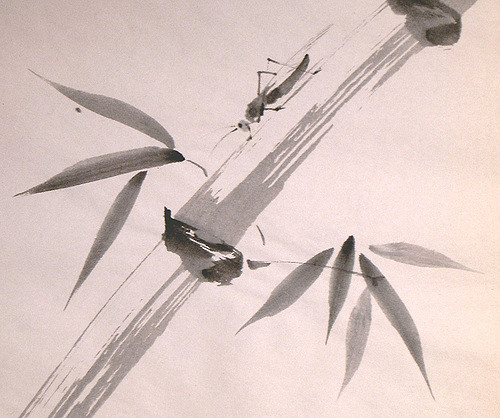 2409096486_1ebb93bf78_z