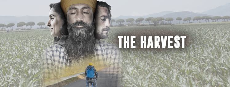 the-harvest-cover-facebook.jpg