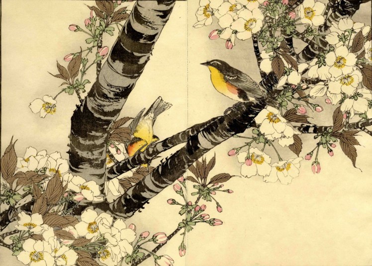 08_keinen, ciliegio.jpg